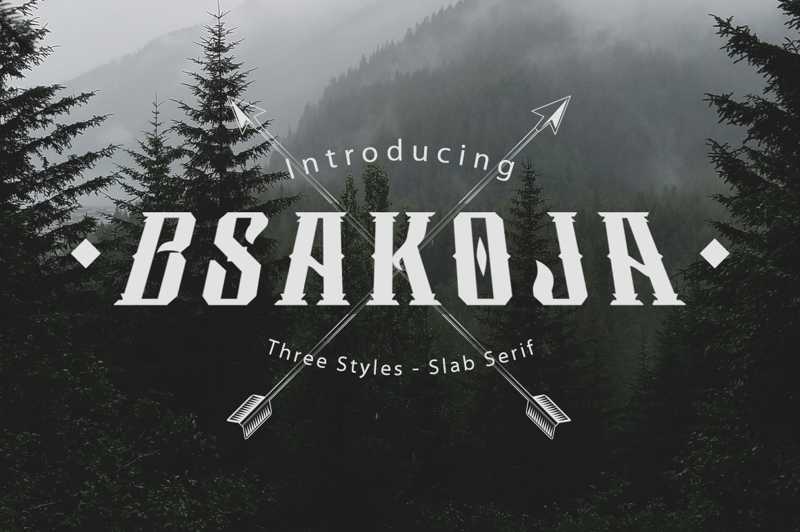 Discover Bsakoja: A Versatile Slab Serif Display Font for Creative Design