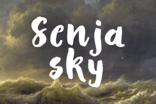 Discover the Charm of Senja Sky