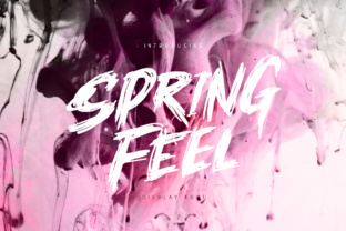 Springfeel: A Dynamic Brush Font for Creative Designs