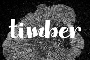 Why Timber is a Versatile Display Font for Designers